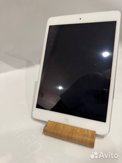 iPad mini 2