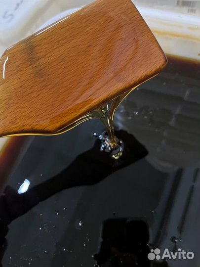 Свежий мёд дягель опт