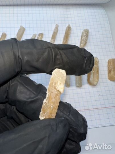 Дамбуриты Малхан