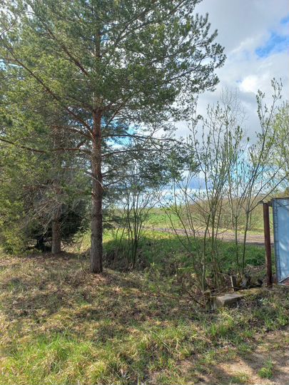 Дом 215 м² на участке 18 сот.