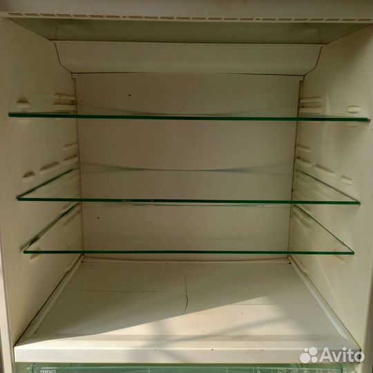 Холодильник Miele