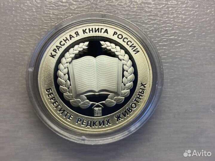 Красная книга России, Амурский тигр, Остал