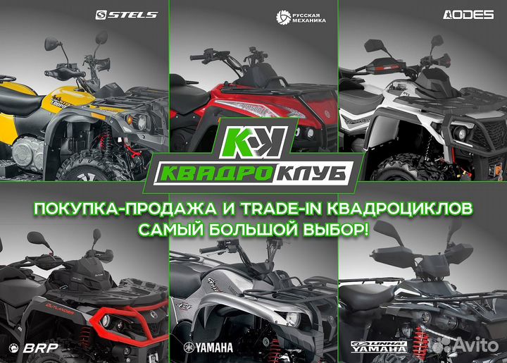Stels ATV010 (TE) guepard 2.0 K01 EPS GN 2024 г