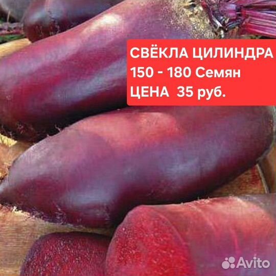 Семена Свёклы