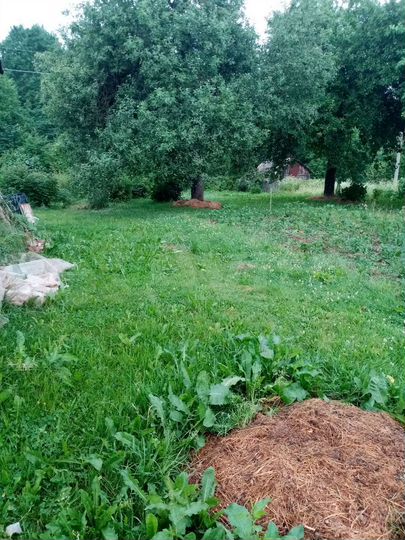 Дом 55 м² на участке 70 сот.