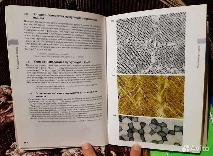 Цветной атлас (Вольфганг Кюнель, 2007)