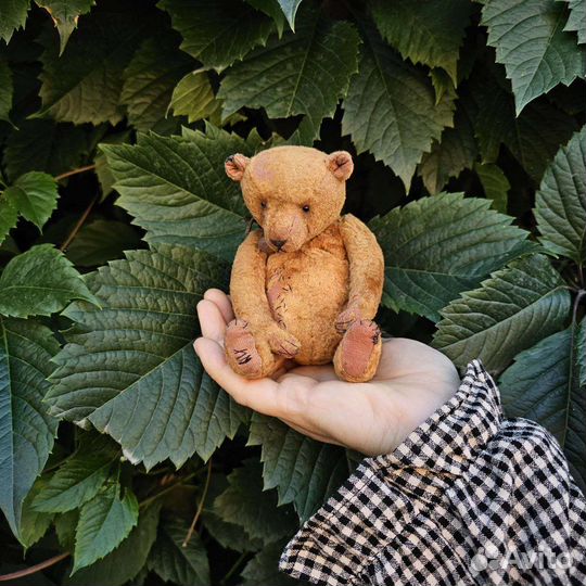 Мишка тедди