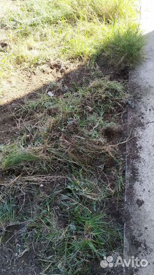 Работа в саду и огороде