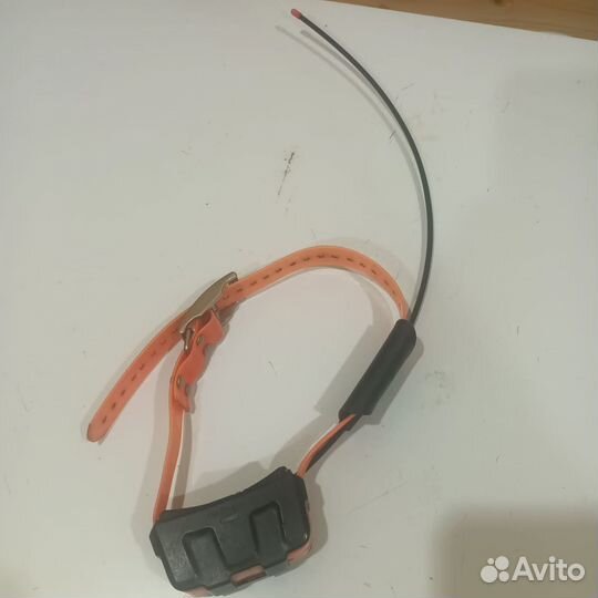 Навигатор Garmin Astro 320 с ошейником DC 50