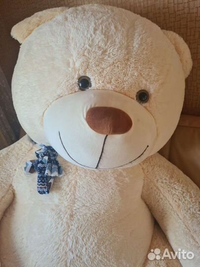 Плюшевый медведь