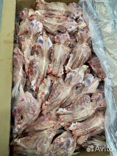 Корм для собак мясо