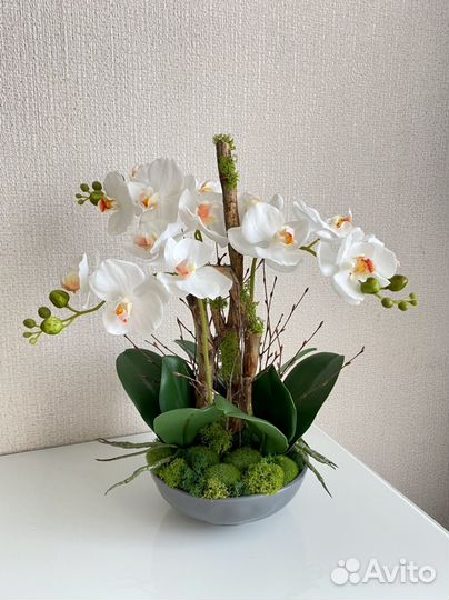 Орхидея коряги мох композиция