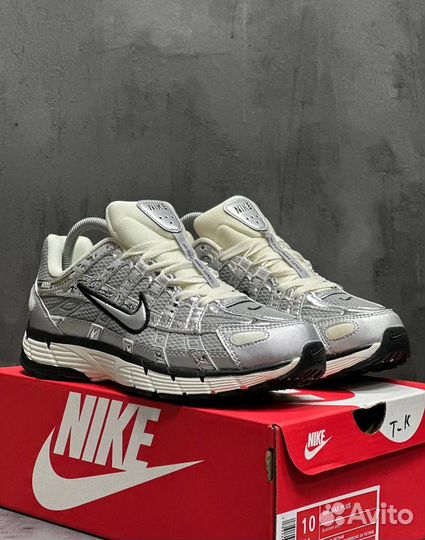 Кроссовки мужские Nike P-6000