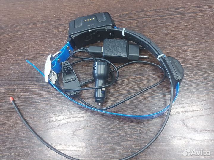 Gps ошейник для собак garmin