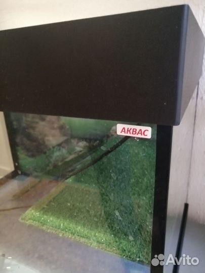 Террариум для черепахи