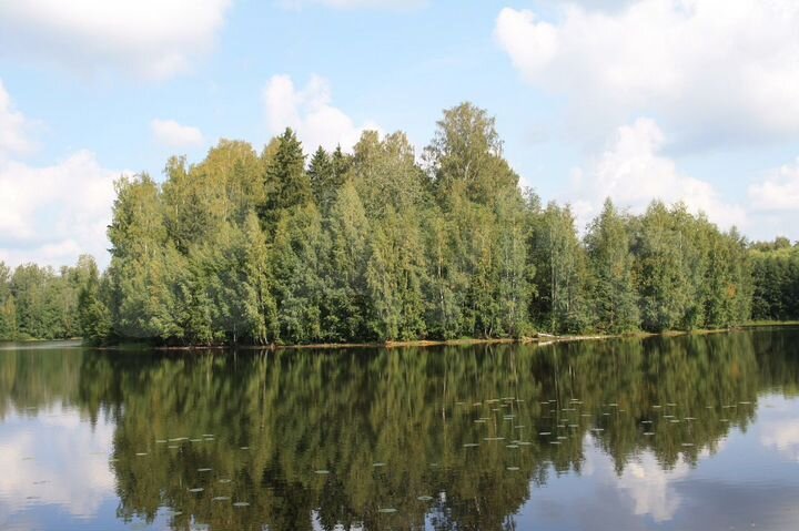 Участок 15,5 сот. (ИЖС)