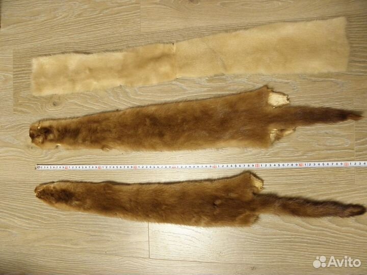 Шкурки норки