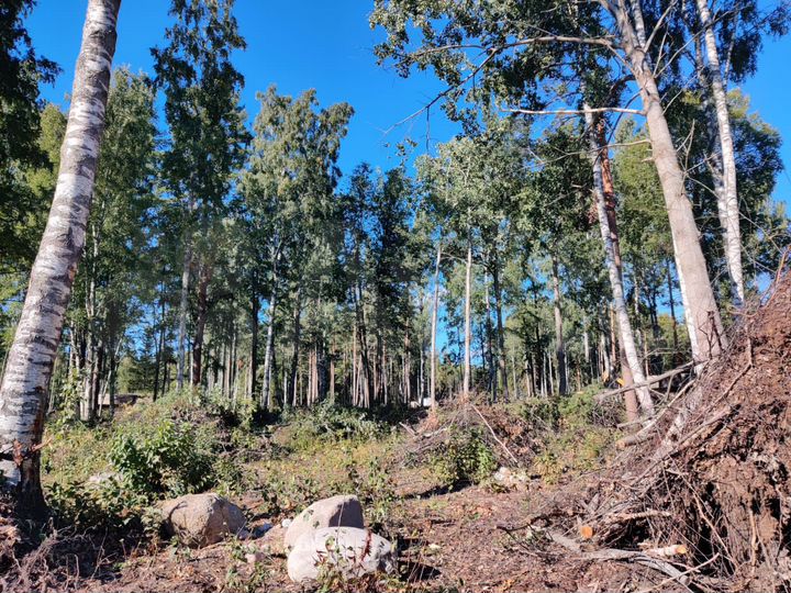 Участок 12,4 сот. (ИЖС)