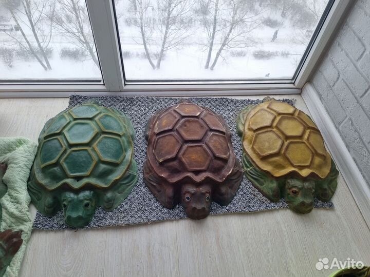 Крокодил декоративный