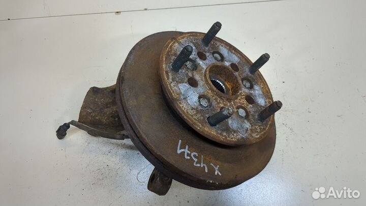 Ступица (кулак, цапфа) Ford Transit 2014, 2014