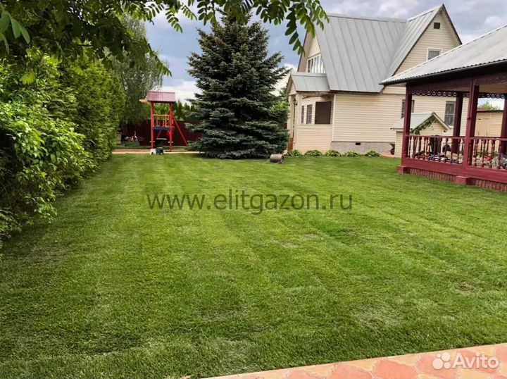 Рулонный газон, укладка, продажа