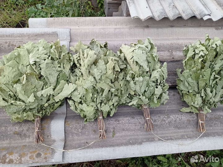 Продам дубовые веники