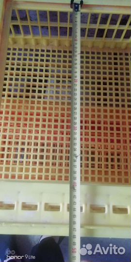 Ящики для перевозки кур