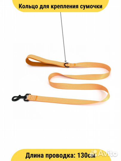 Набор аксессуаров для собак и кошек