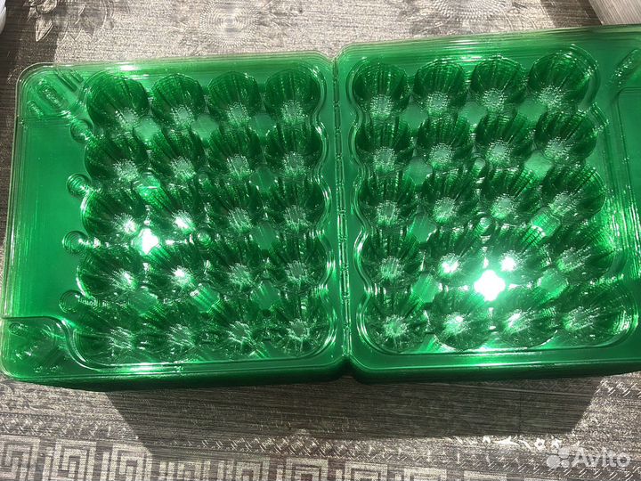 Упаковка для перепелиных яиц