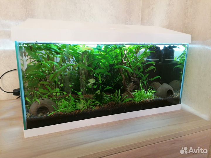 Аквариум
