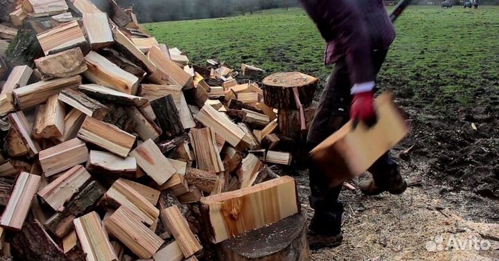 Дрова сухие
