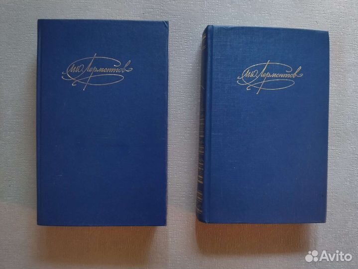 М.Ю. Лермонтов - 2 тома 