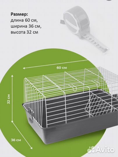 Карликовый кролик