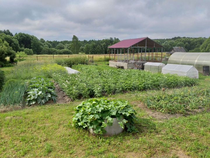 Дом 50 м² на участке 32 сот.