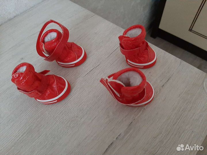 Зимние ботинки для собаки