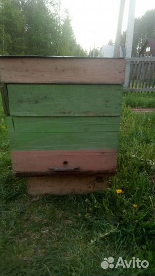 Улей для пчел