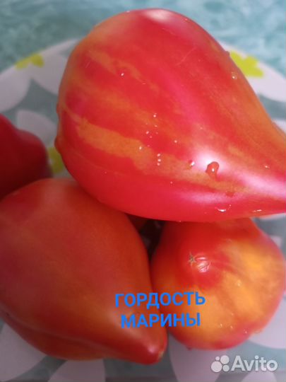 Семена коллекционных томатов