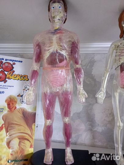 Сборник книг