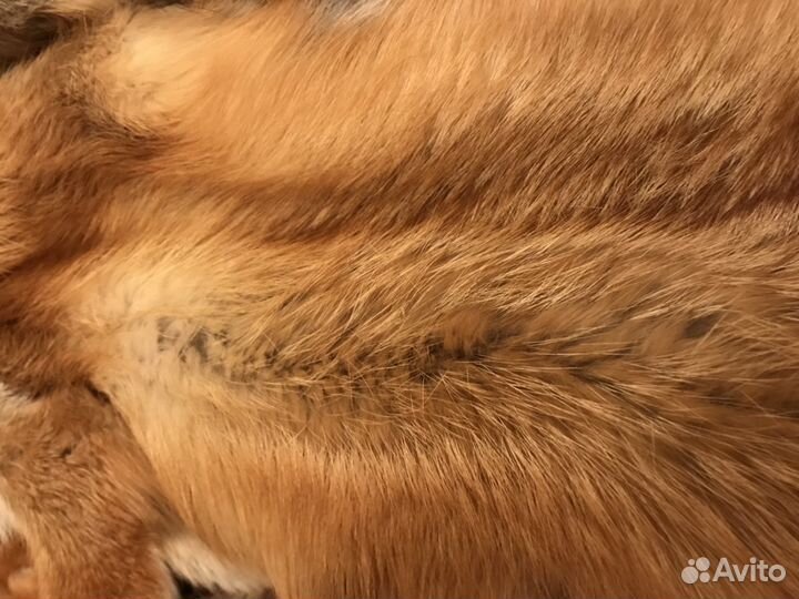 Шкуры лисы