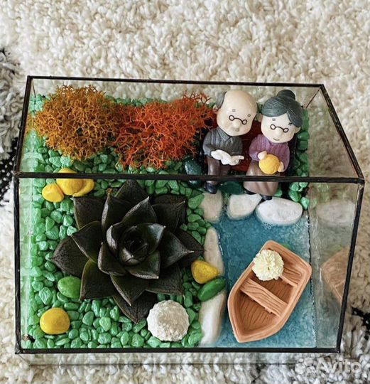 Флорариумы подарок