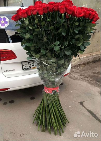 Высокие розы Гигантские Розы 150 160 170 180 190см