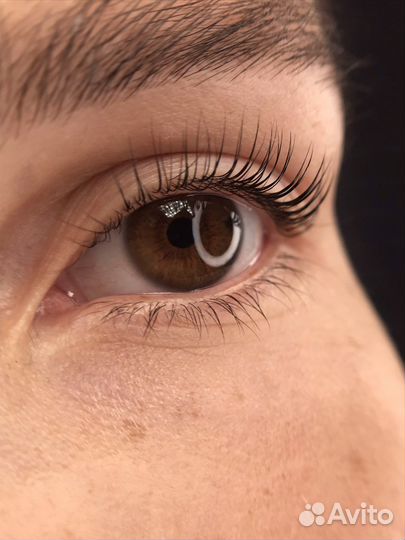 Ламинирование ресниц и бровей