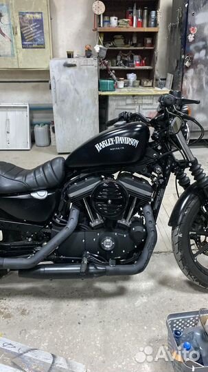 Продам Harley davidson 883 iron