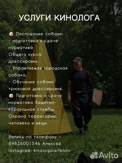Дрессировка собак, кинолог