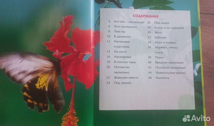 Книга,энциклопедия про животн,познавательно чтение