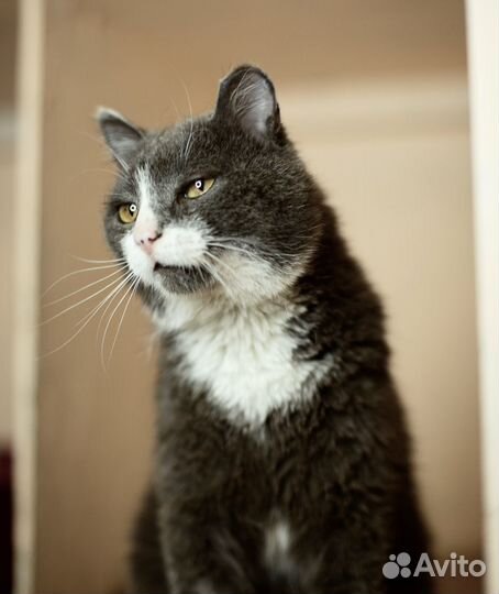 Оливеру очень нужна семья