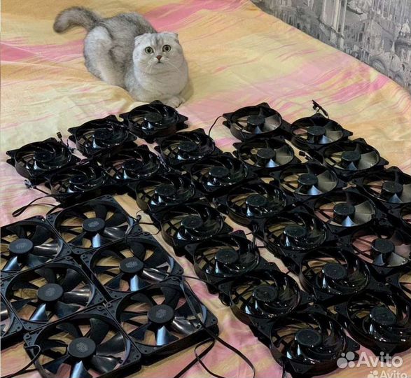 Скупка пк, Компьютерных Комплектующих и Ноутбуков