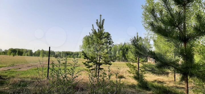 Участок 8 сот. (СНТ, ДНП)