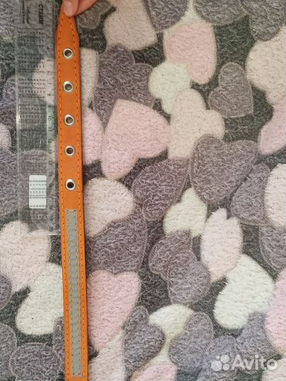 Ошейник для собак