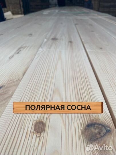 Палубная доска